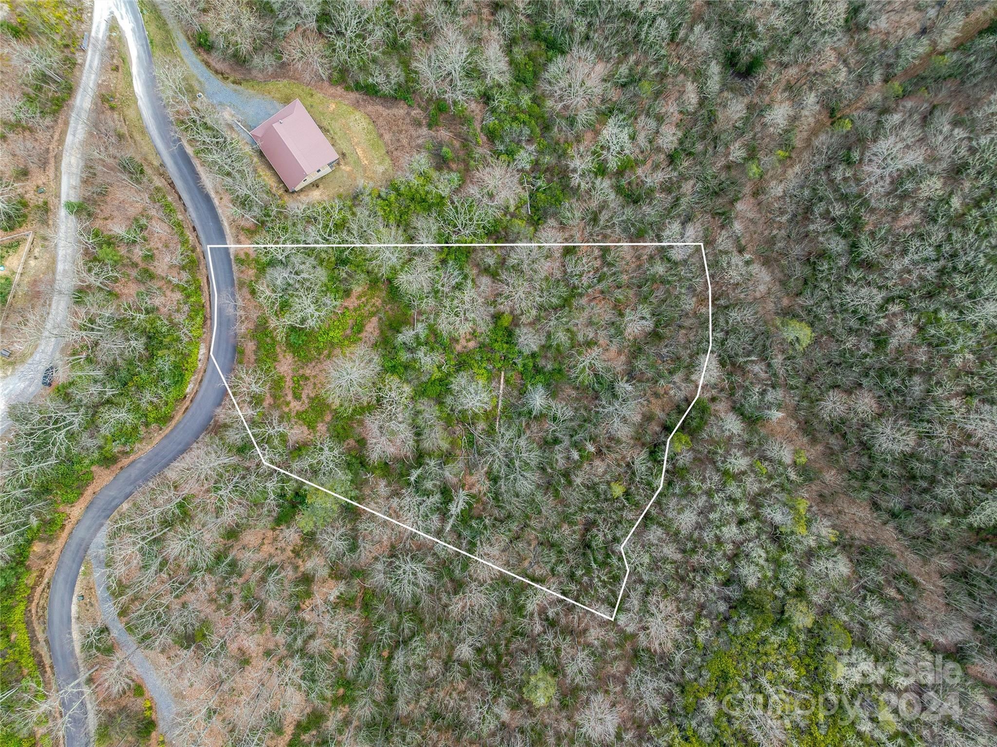 Tbd Copper Spur Road, Unit 9 Maggie Valley, NC 28751 - Photo 19 of 26 Gallery Image 19