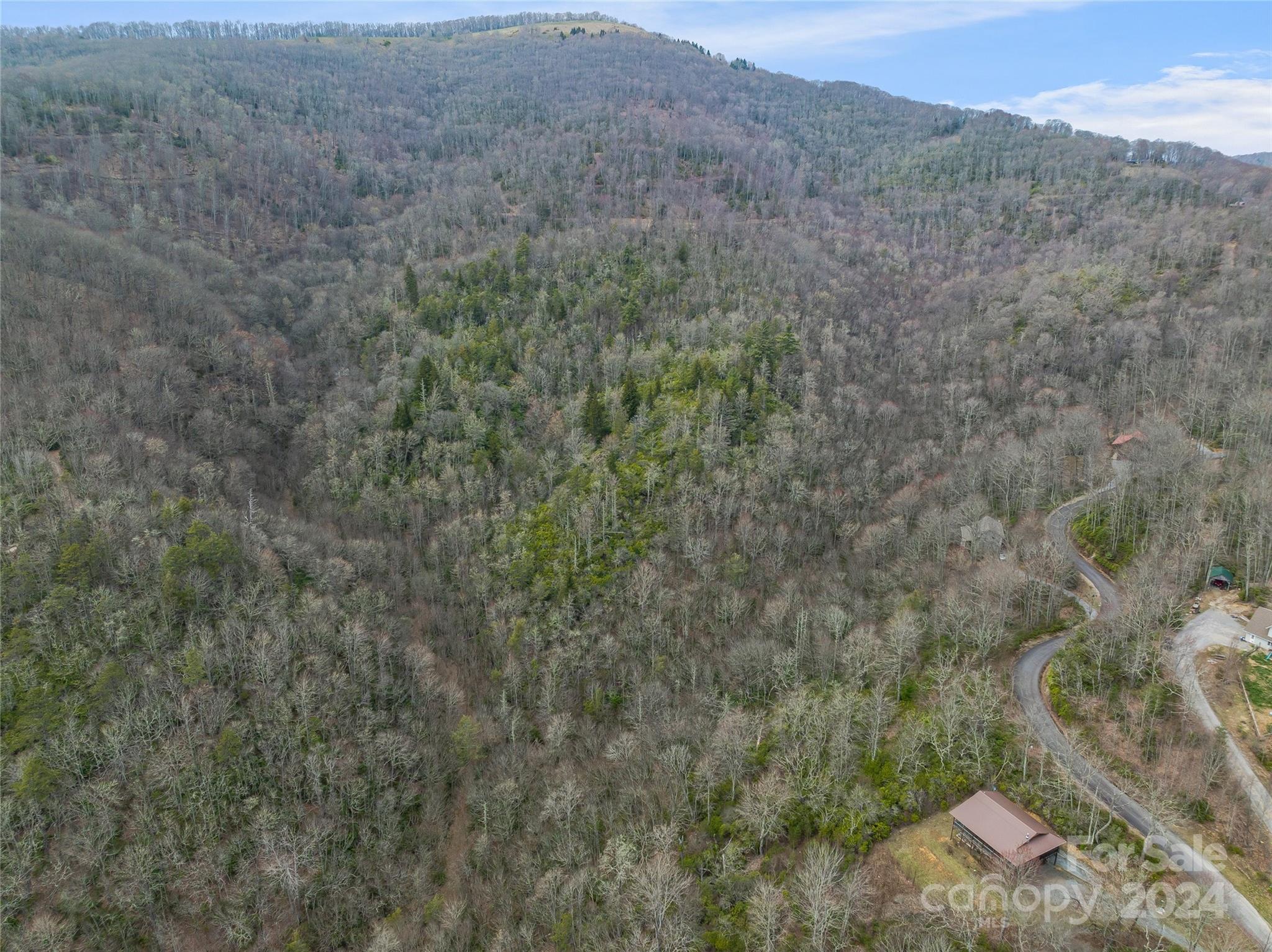 Tbd Copper Spur Road, Unit 9 Maggie Valley, NC 28751 - Photo 20 of 26 Gallery Image 20