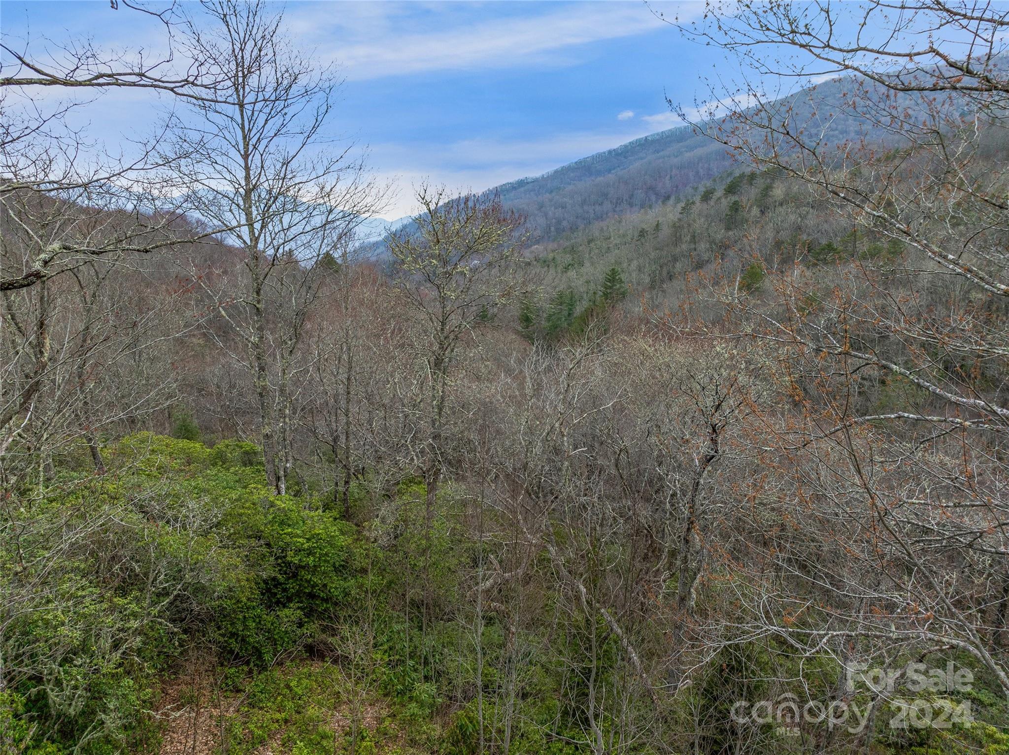 Tbd Copper Spur Road, Unit 9 Maggie Valley, NC 28751 - Photo 24 of 26 Gallery Image 24