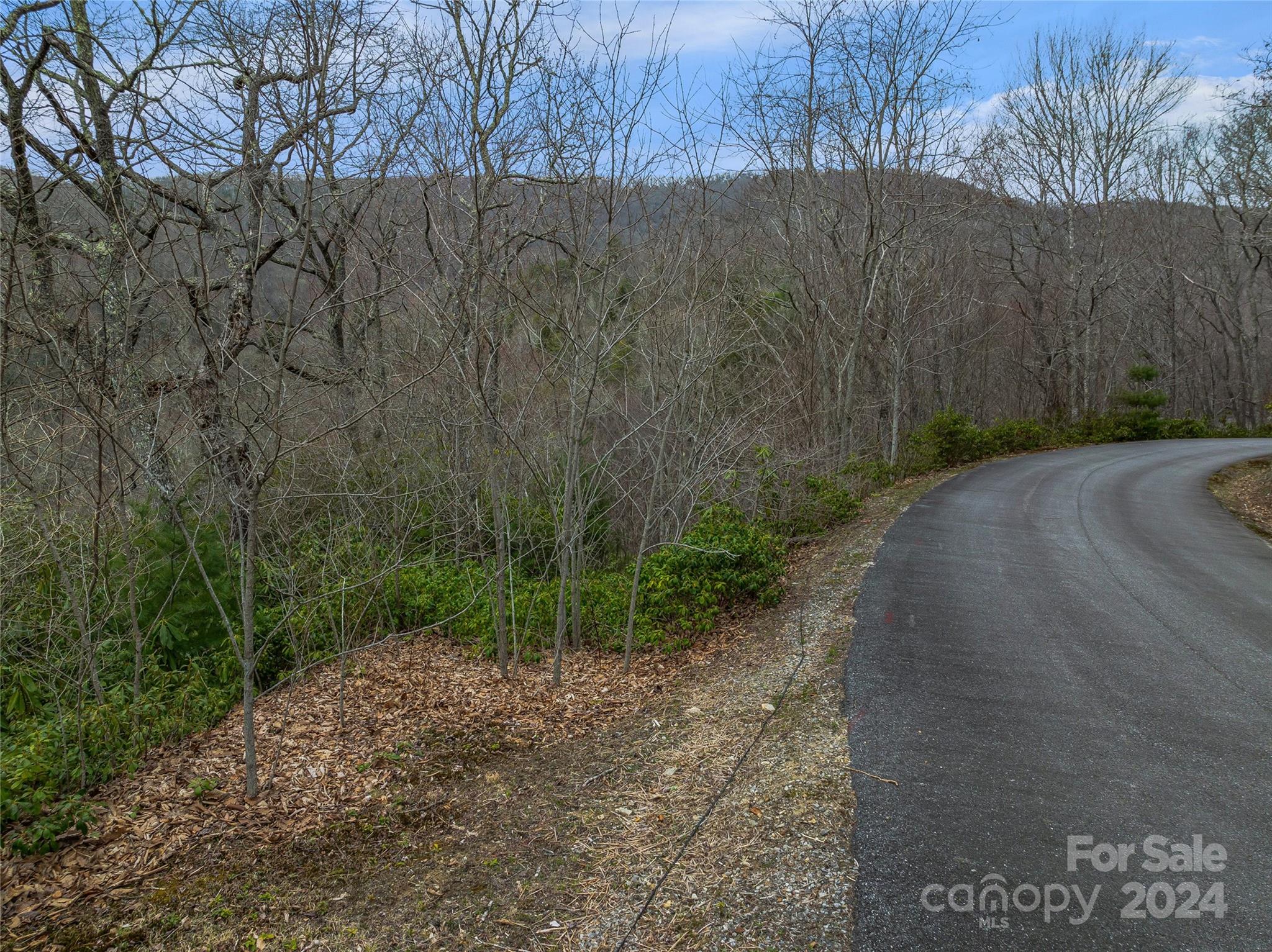 Tbd Copper Spur Road, Unit 9 Maggie Valley, NC 28751 - Photo 8 of 26 Gallery Image 8