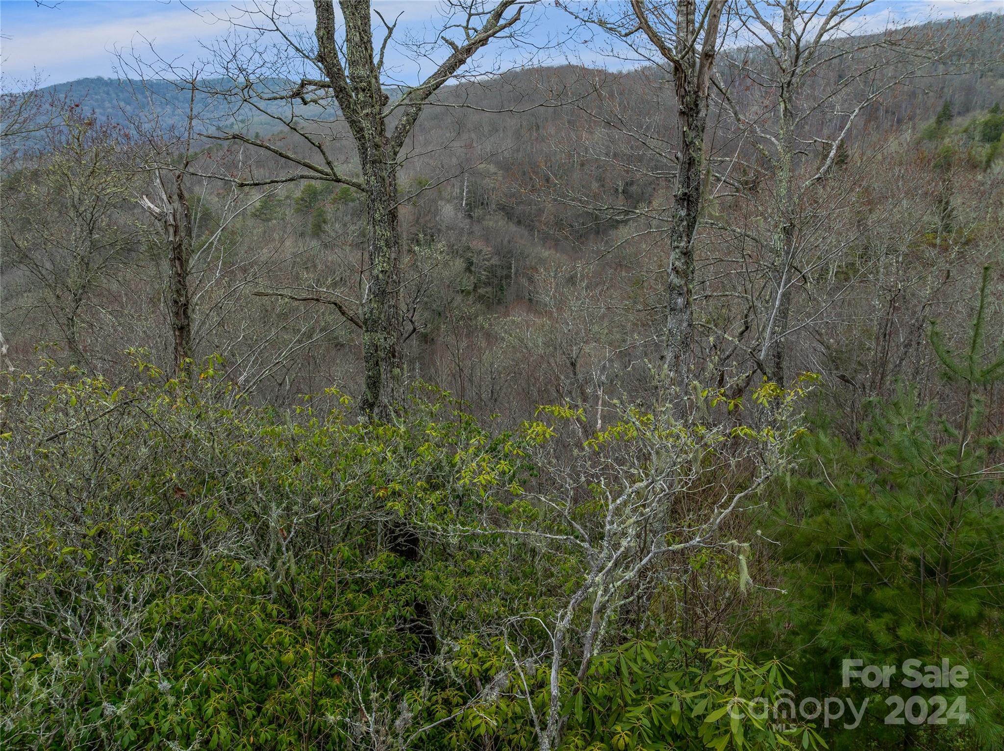 Tbd Copper Spur Road, Unit 9 Maggie Valley, NC 28751 - Photo 10 of 26 Gallery Image 10