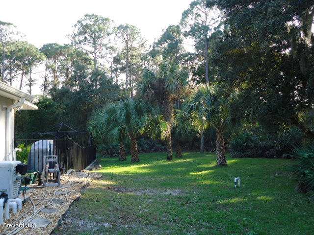 129 East Crisafulli Road Merritt Island, FL 32953 - Photo 38 of 41 39 West Side yard