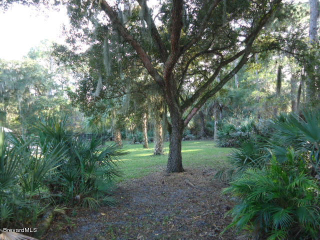 129 East Crisafulli Road Merritt Island, FL 32953 - Photo 39 of 41 40 West Side yard