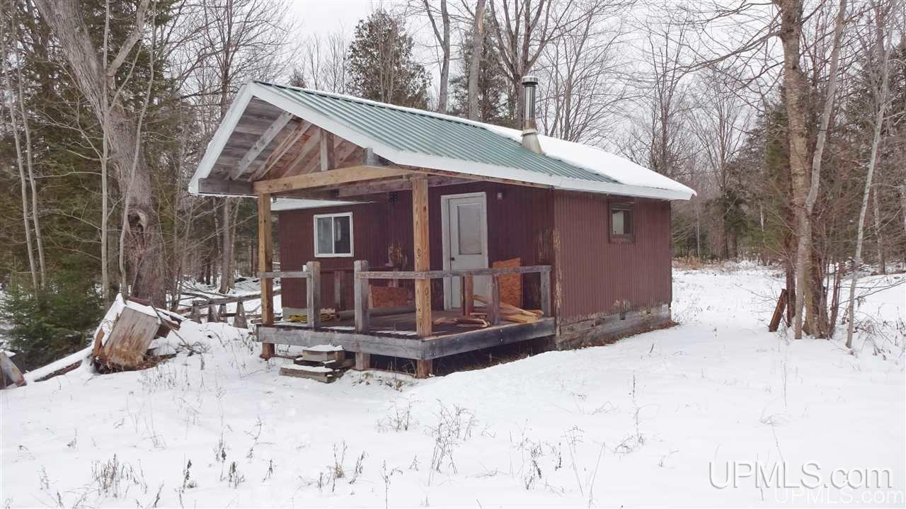 Tbd Winters/savola Road Trenary, MI 49891 - Photo 2 of 19