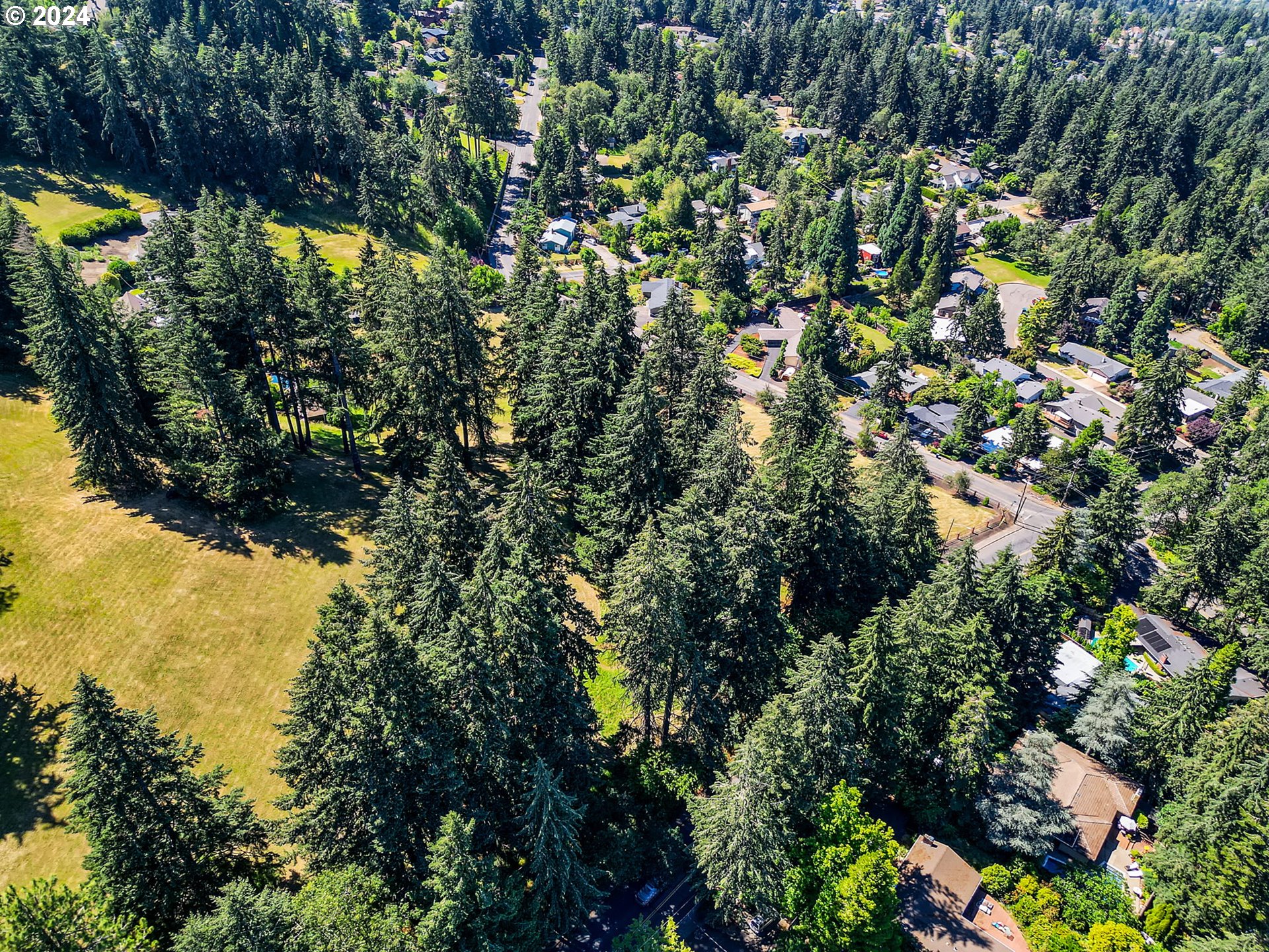 Mclean Boulevard Eugene, OR 97405 - Photo 12 of 22