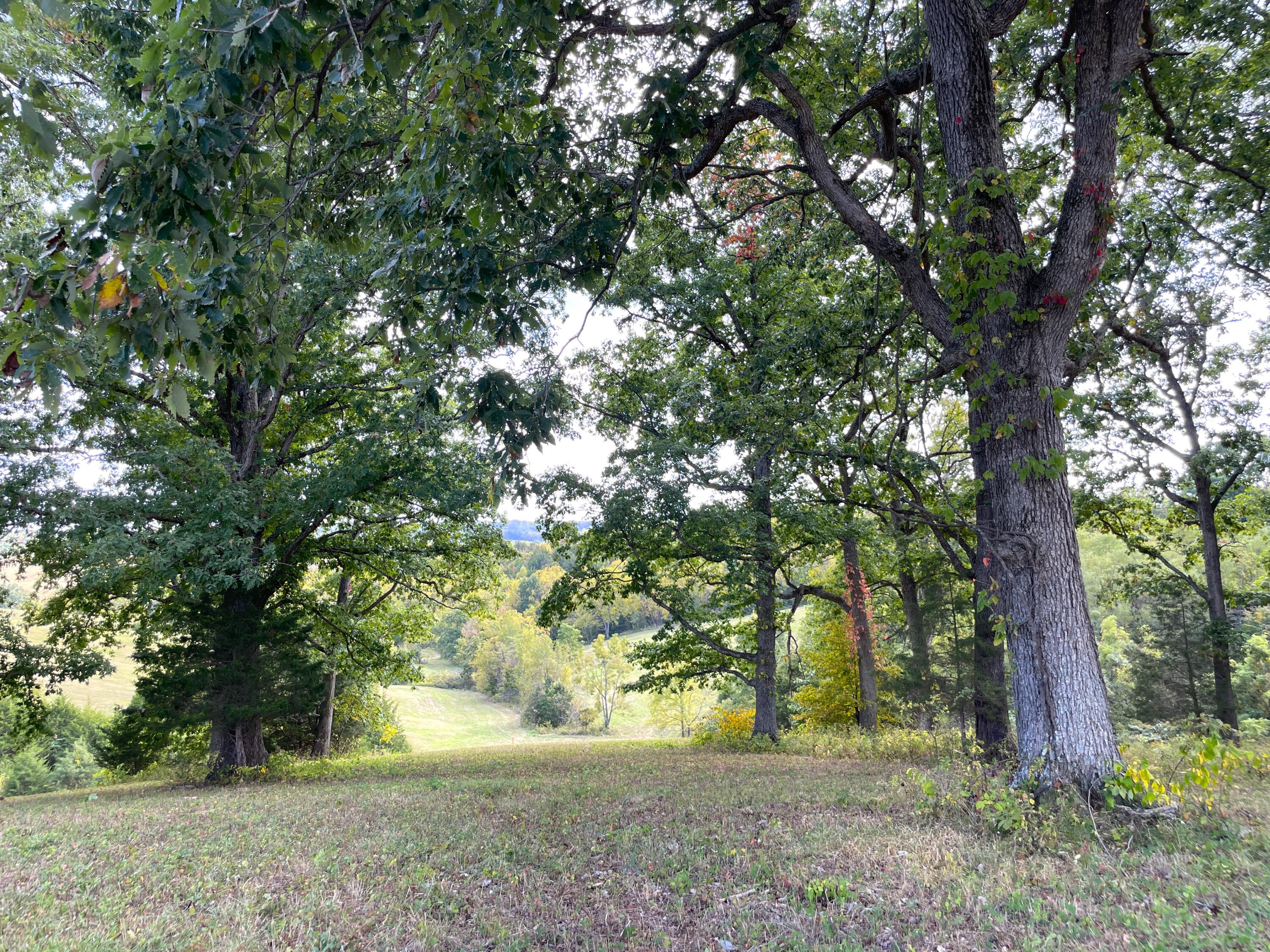5 Corinth Road Corinth, KY 41010 - Photo 8 of 22 Gallery Image 8