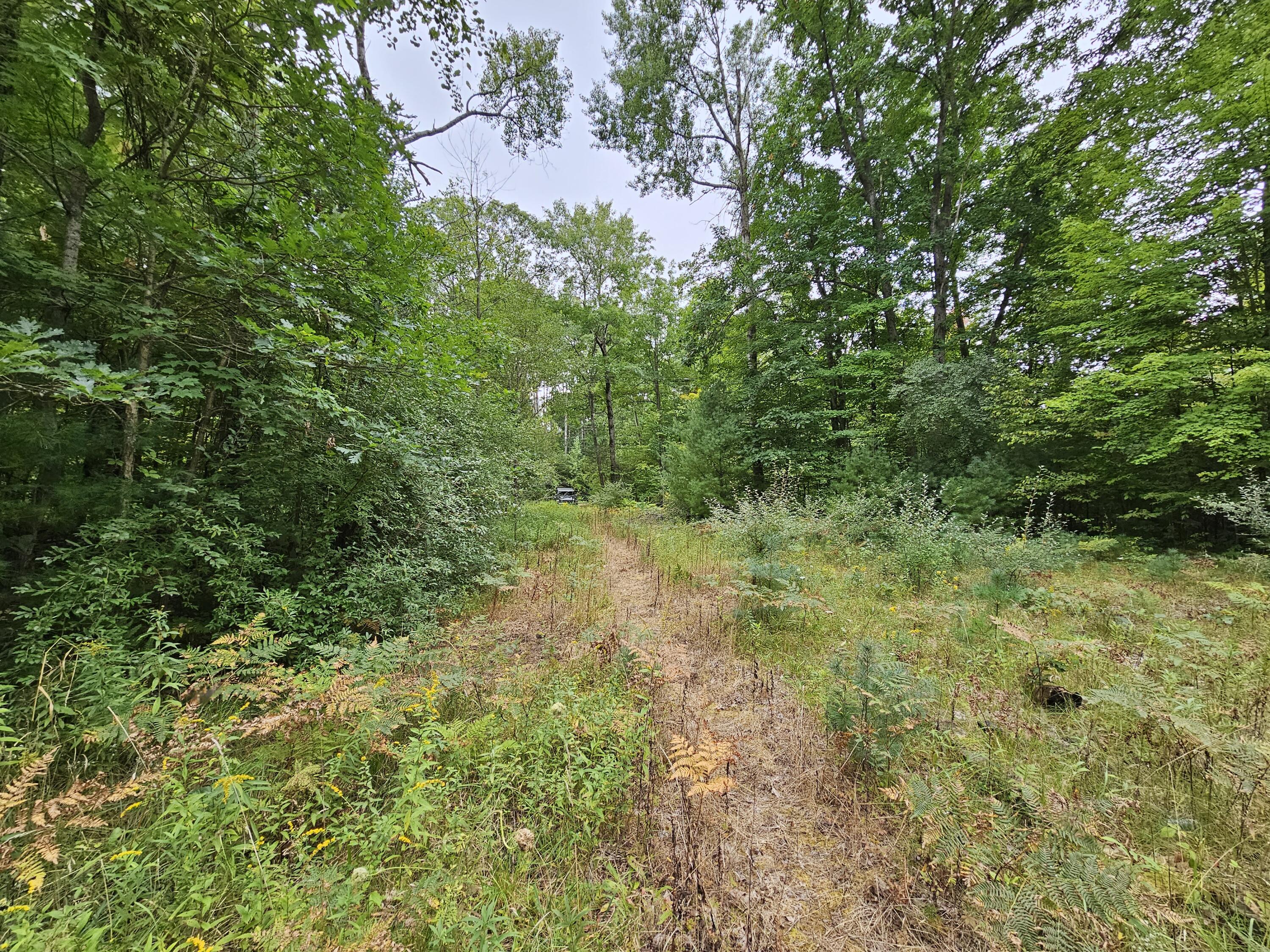 18174 Johnson Road Stanwood, MI 49346 - Photo 13 of 17 20230913_130212