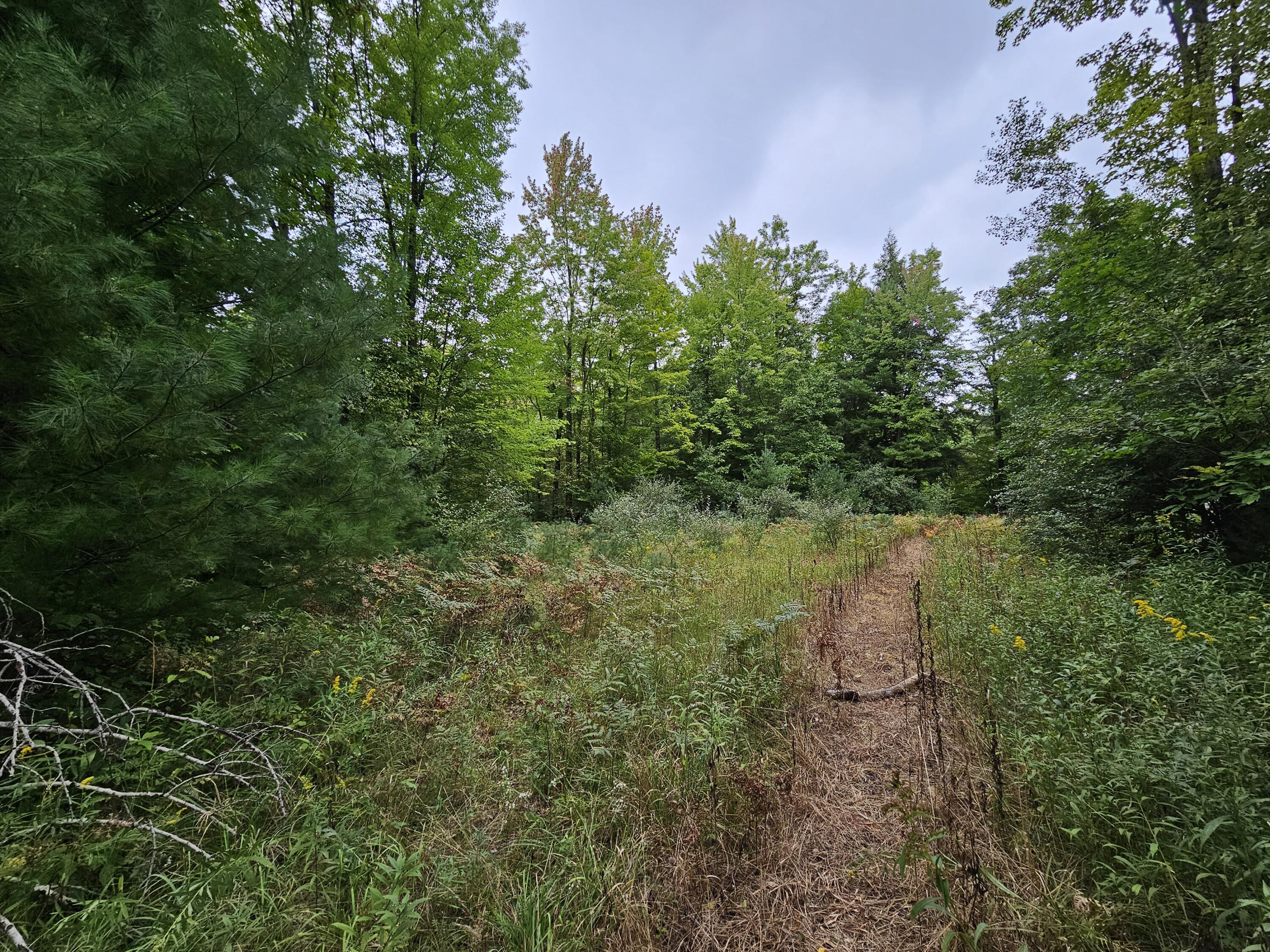 18174 Johnson Road Stanwood, MI 49346 - Photo 14 of 17 20230913_130142