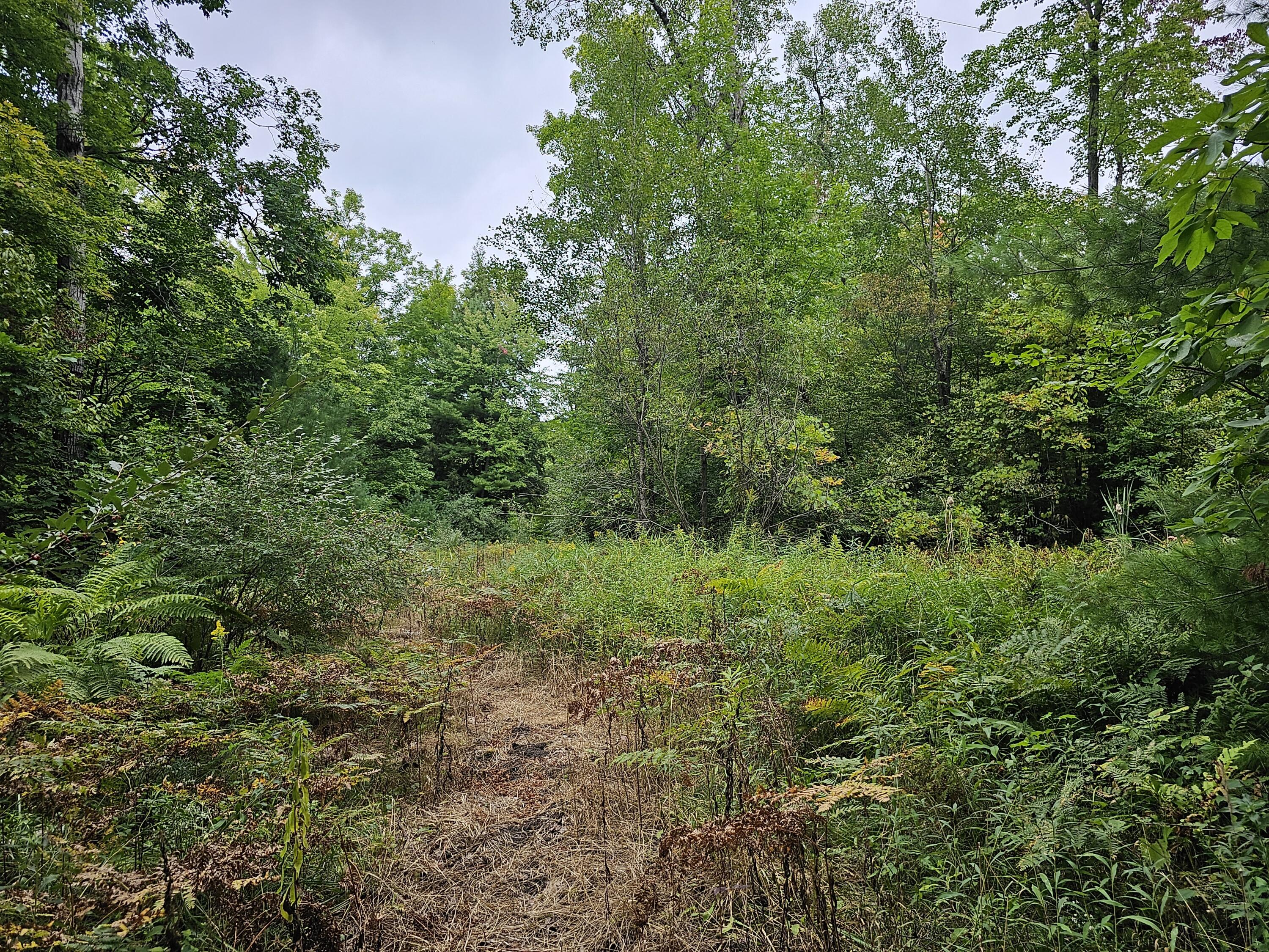 18174 Johnson Road Stanwood, MI 49346 - Photo 16 of 17 20230913_130036