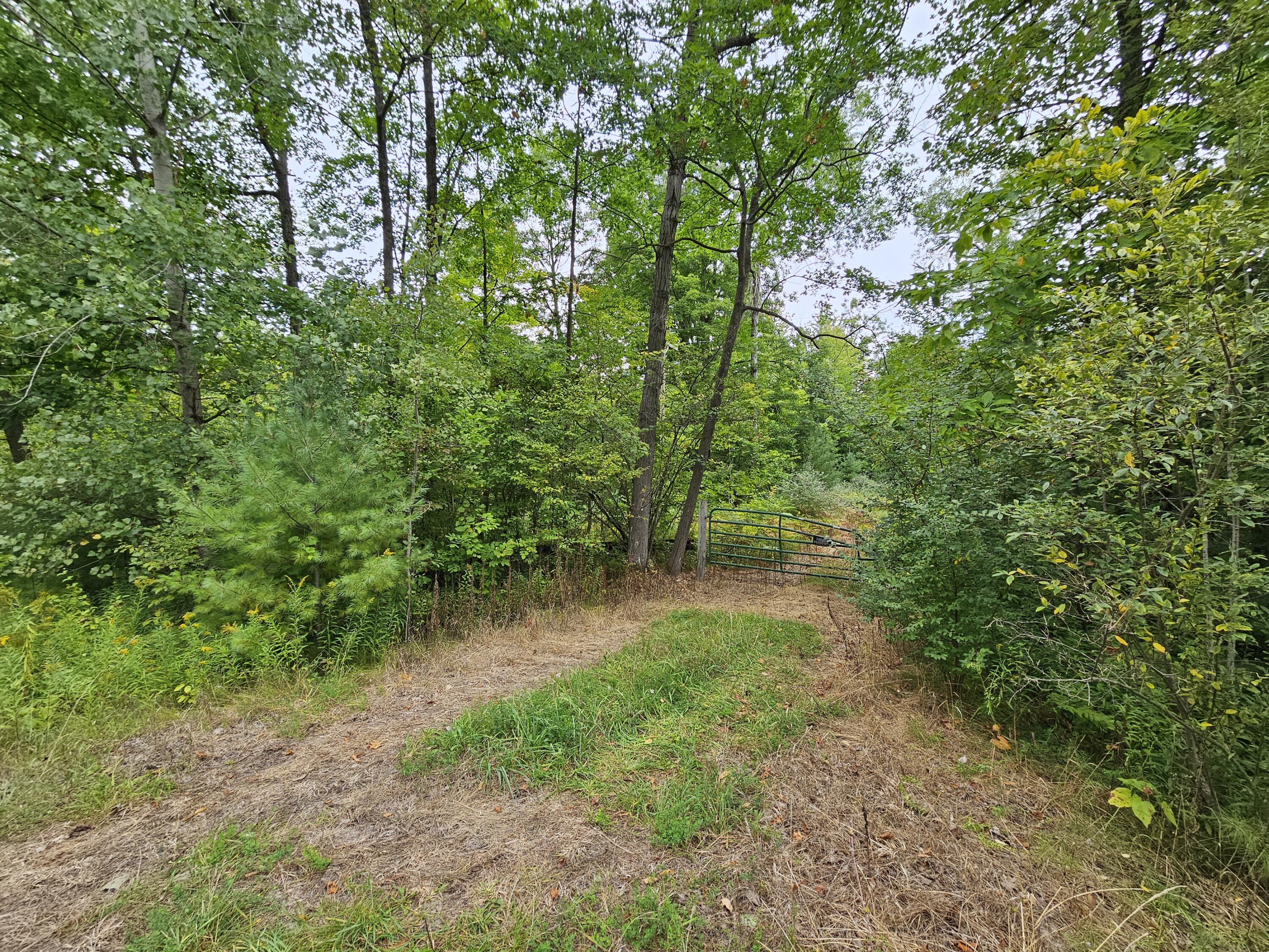 18174 Johnson Road Stanwood, MI 49346 - Photo 3 of 17 20230913_132113