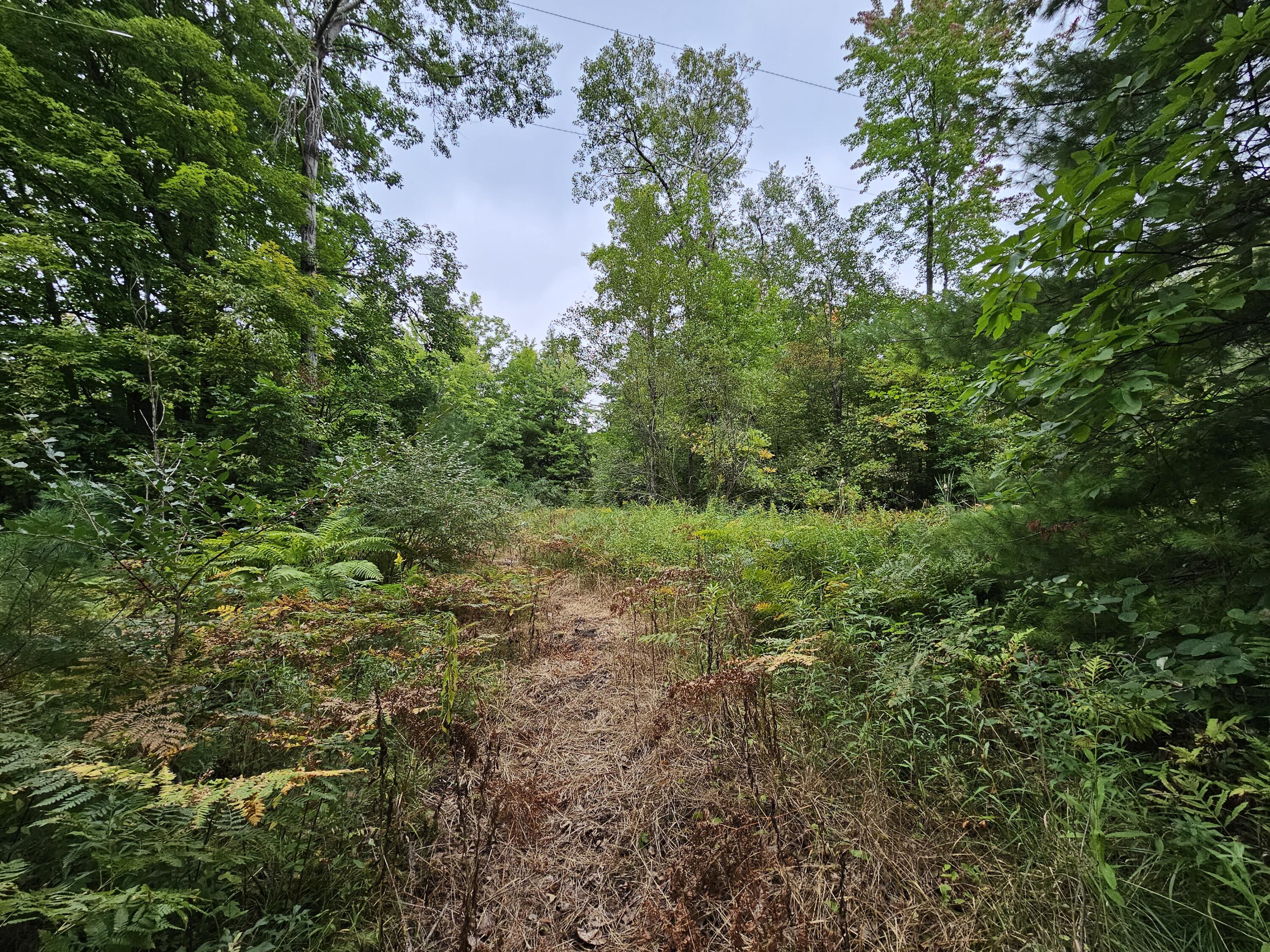 18174 Johnson Road Stanwood, MI 49346 - Photo 8 of 17 20230913_130039