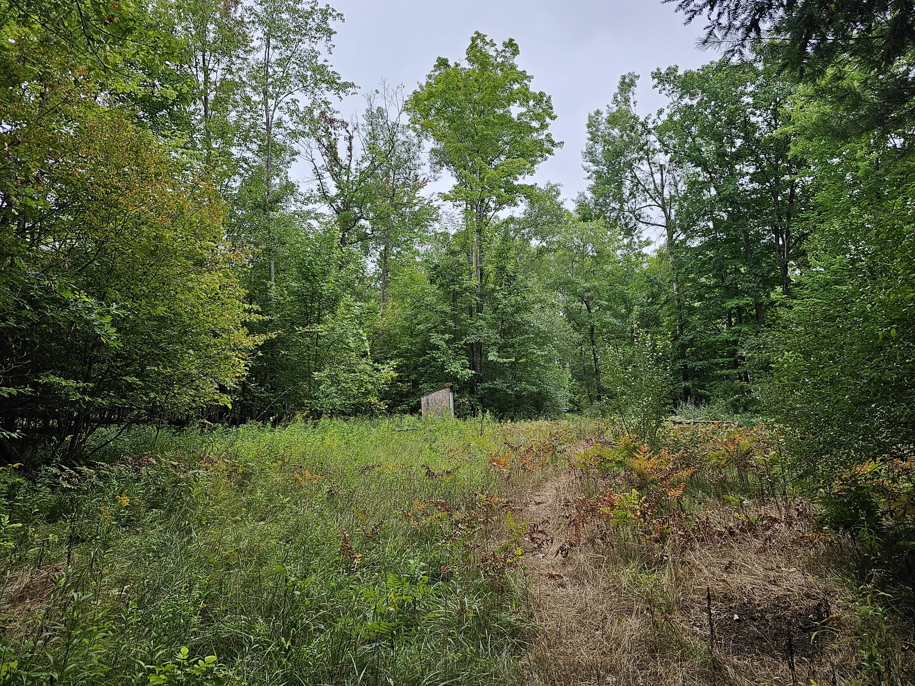 18174 Johnson Road Stanwood, MI 49346 - Photo 9 of 17 20230913_130256