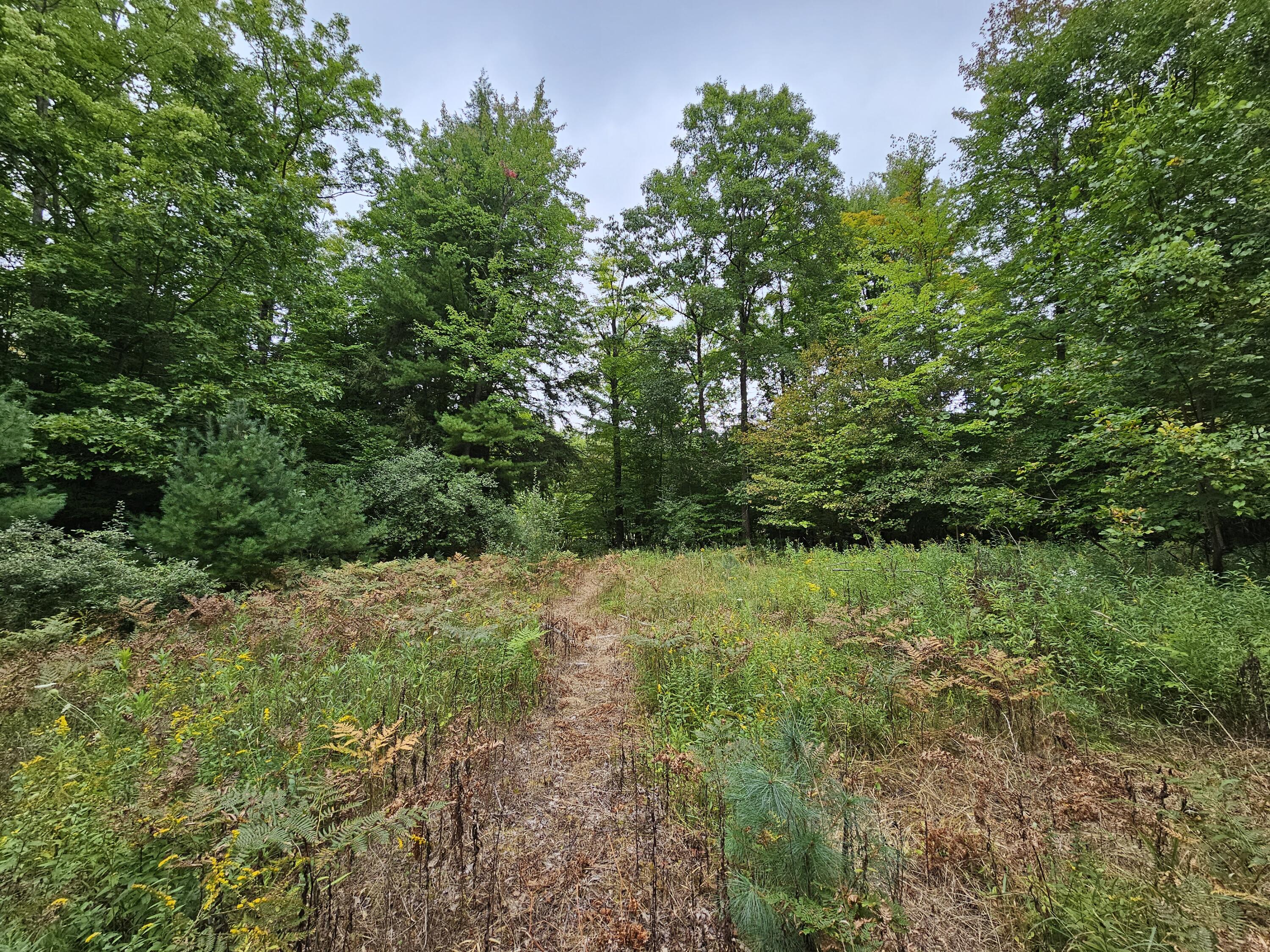 18174 Johnson Road Stanwood, MI 49346 - Photo 10 of 17 20230913_130217