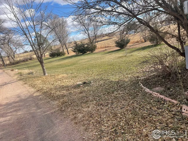 a view of yard with trees
