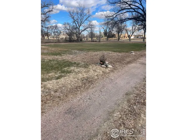 a view of a yard with trees
