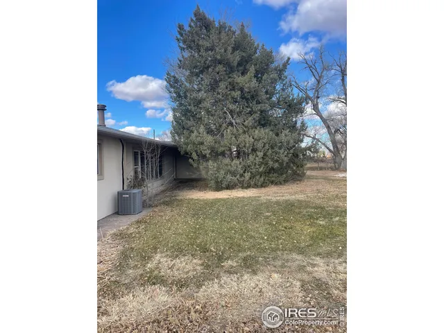 a view of a small yard