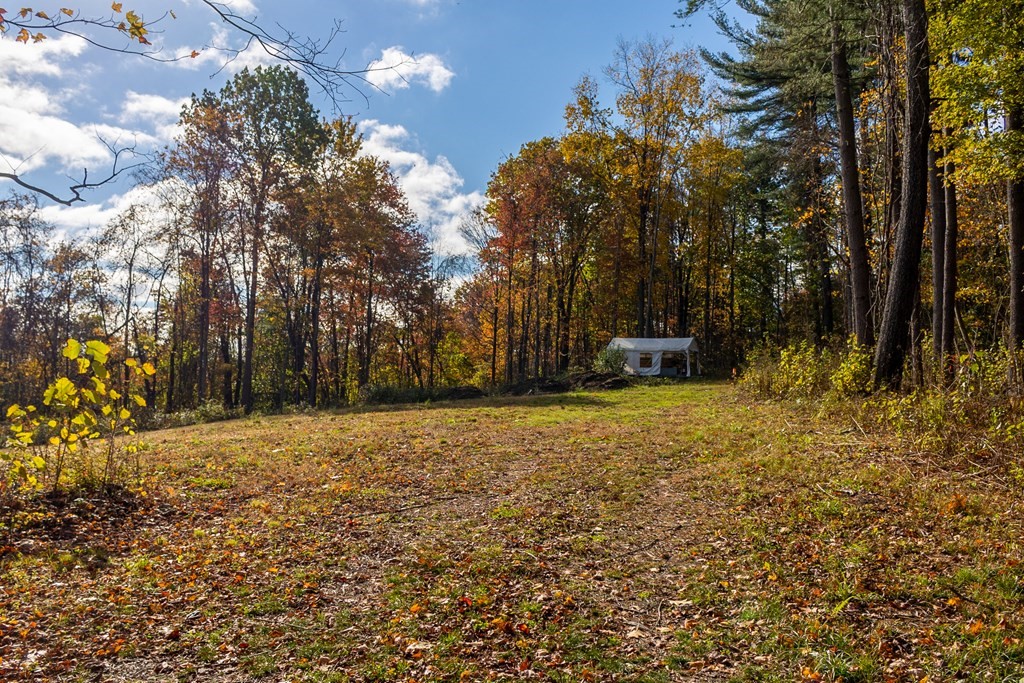 81 Stillwater Road Deerfield, MA 01342 - Photo 9 of 33 Gallery Image 9