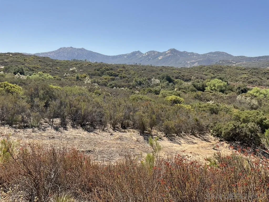 0 Rav Court, Unit 9 Jamul, CA 91935 - Photo 9 of 27 Gallery Image 9