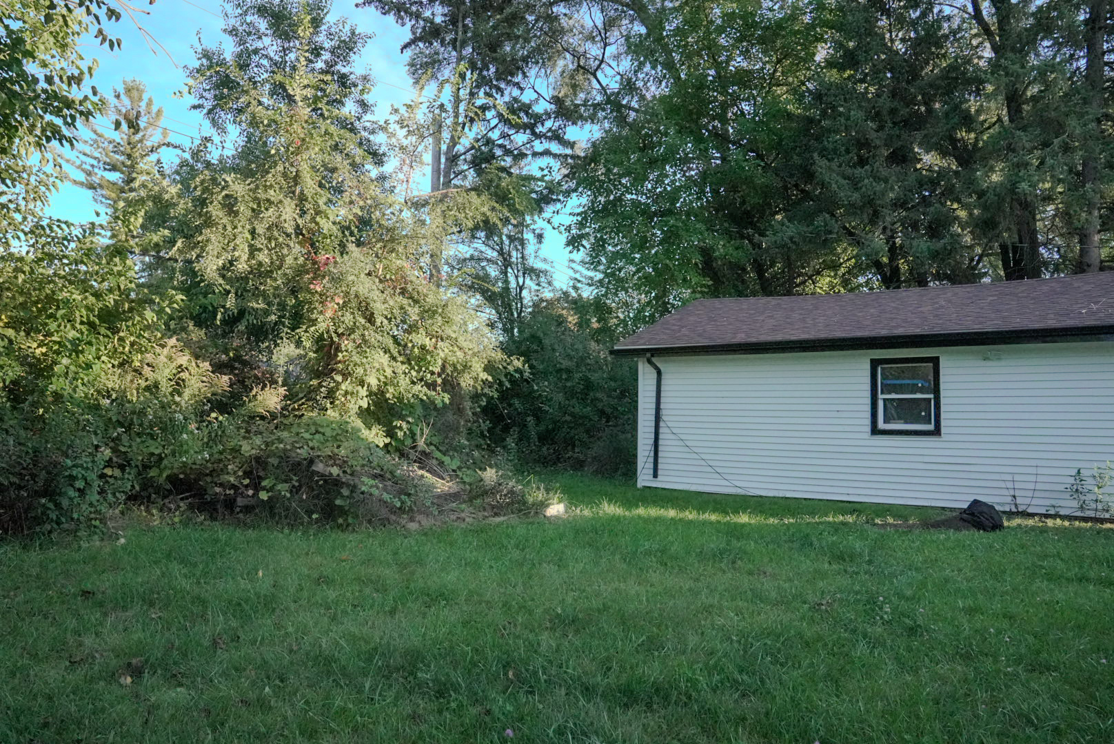 15315 Cherry Lane Markham, IL 60428 - Photo 28 of 34 a view of a backyard with plants and large trees