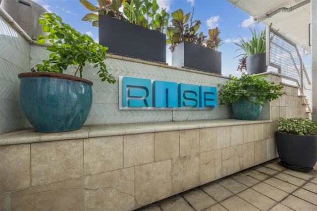 a view of a potted plants with wooden fence