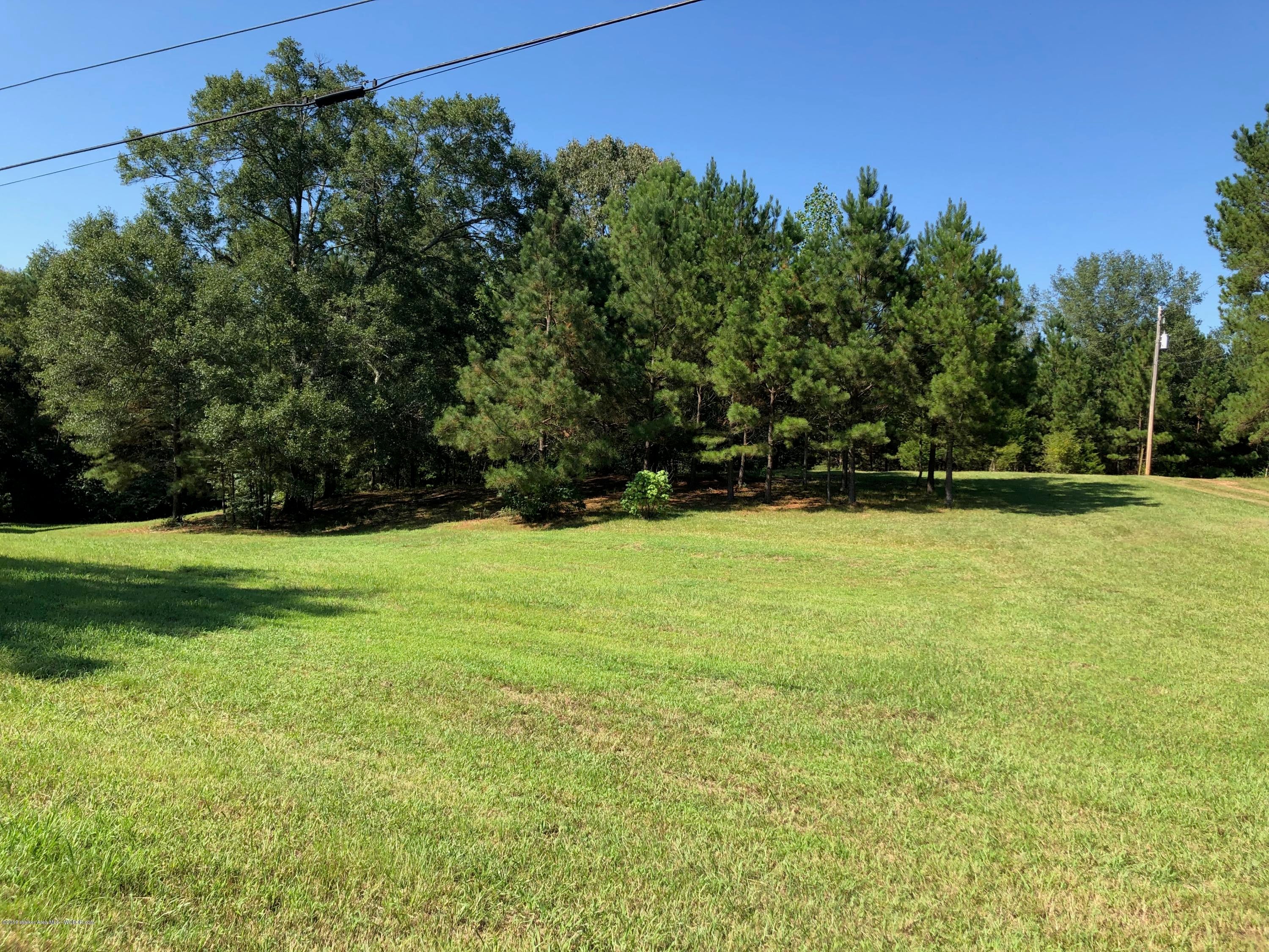440 Bradford Road Jasper, AL 35503 - Photo 2 of 17 Gallery Image 2