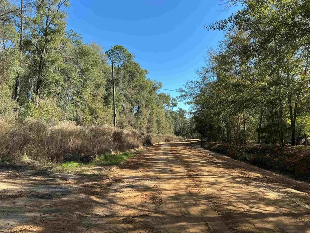 $69,900 | Tbd Smokehouse Farms Drive, Greenville, FL 32331