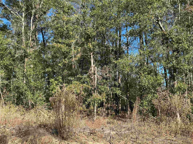 $69,900 | Tbd Smokehouse Farms Drive, Greenville, FL 32331
