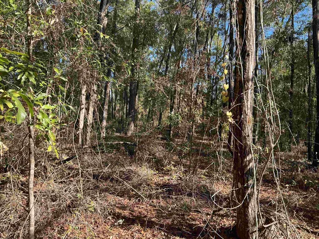 $69,900 | Tbd Smokehouse Farms Drive, Greenville, FL 32331