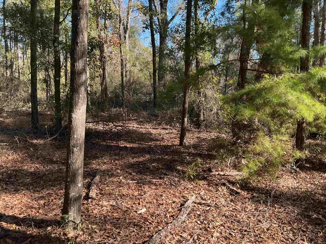 $69,900 | Tbd Smokehouse Farms Drive, Greenville, FL 32331