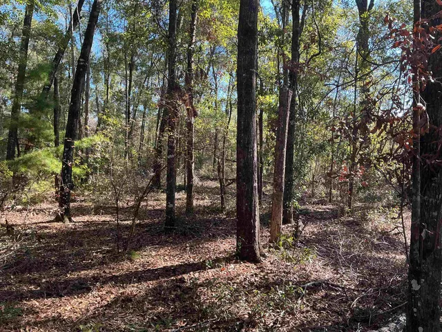 $69,900 | Tbd Smokehouse Farms Drive, Greenville, FL 32331