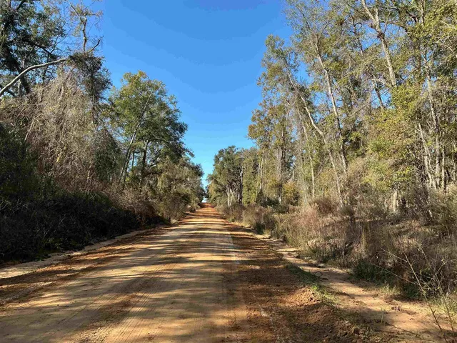 $69,900 | Tbd Smokehouse Farms Drive, Greenville, FL 32331