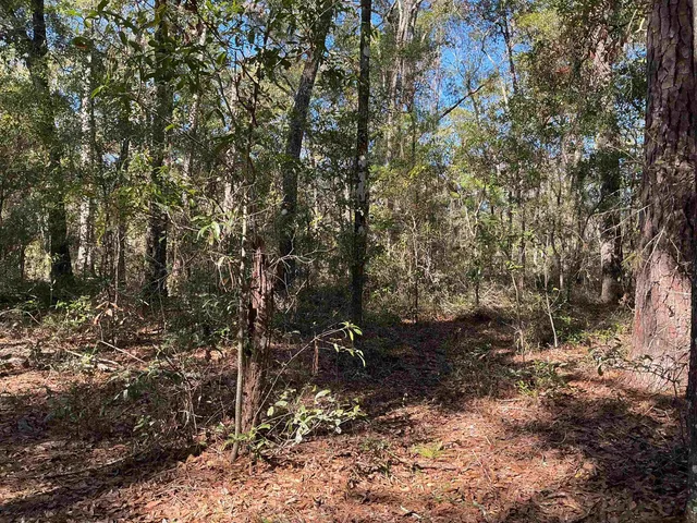 $69,900 | Tbd Smokehouse Farms Drive, Greenville, FL 32331
