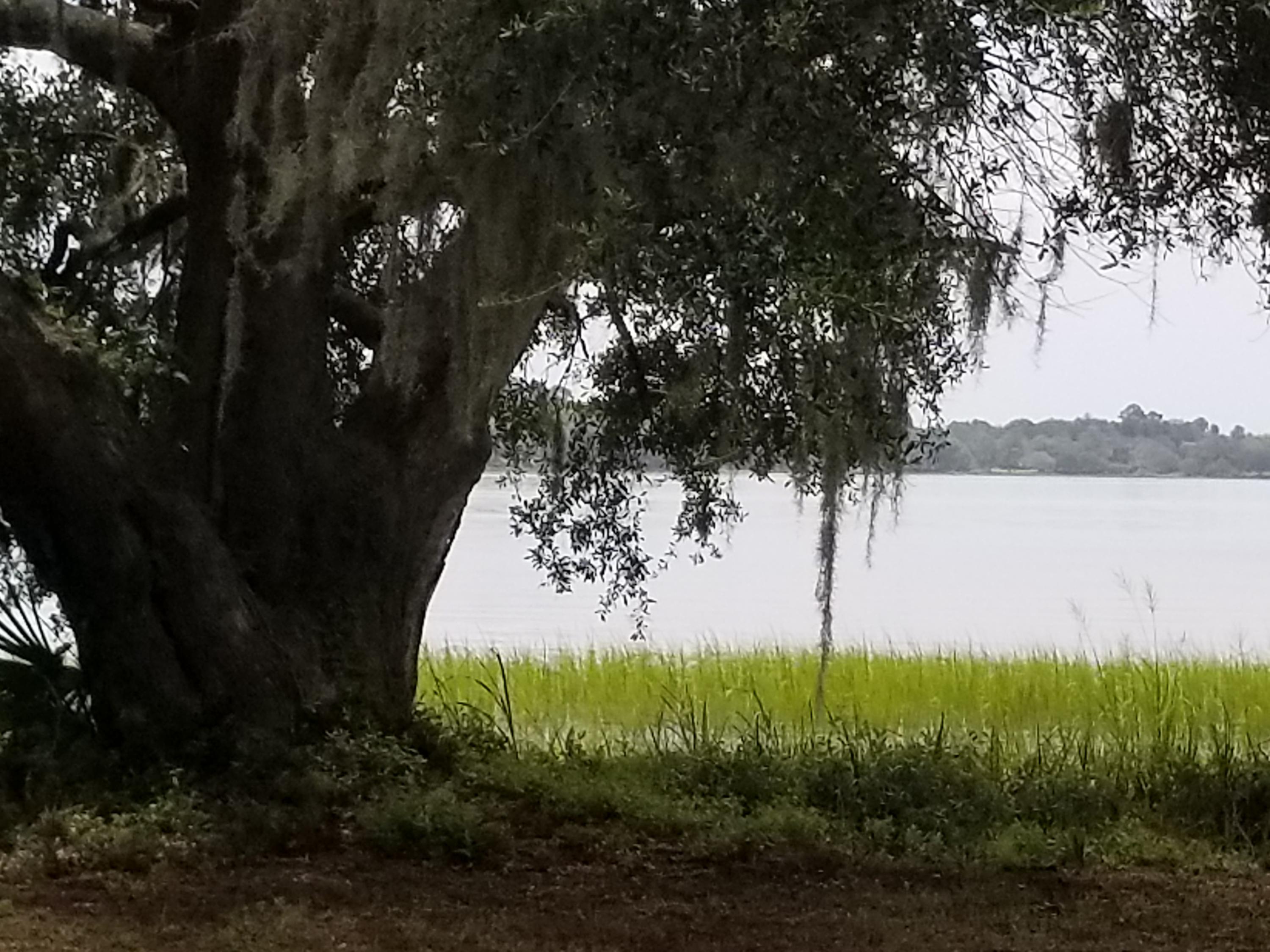 4623 Westervelt Road Meggett, SC 29449 - Photo 12 of 13 20170727_130432