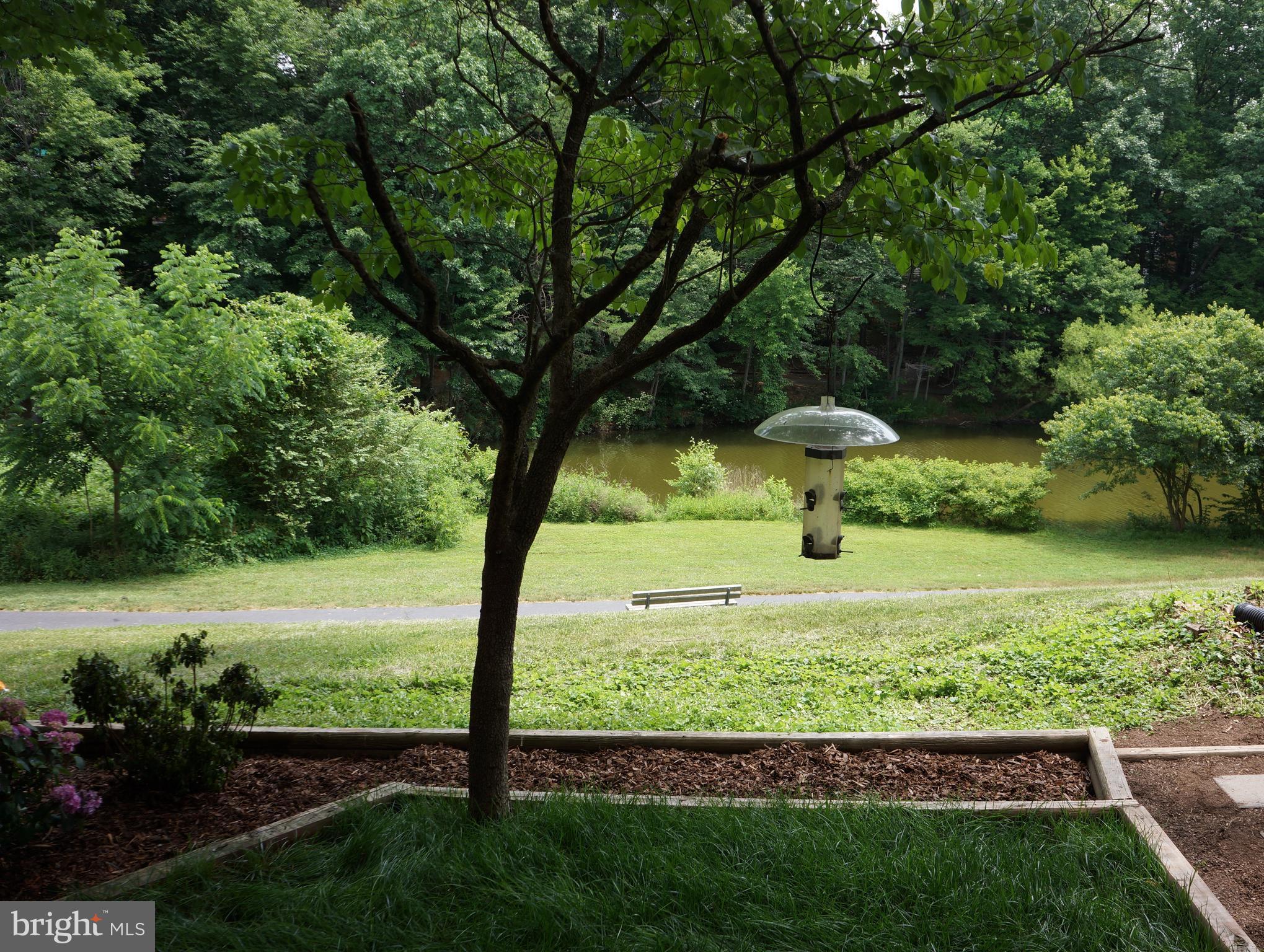 9506 Burdett Road Burke, VA 22015 - Photo 25 of 30 Beautiful backyard leads to the lake!