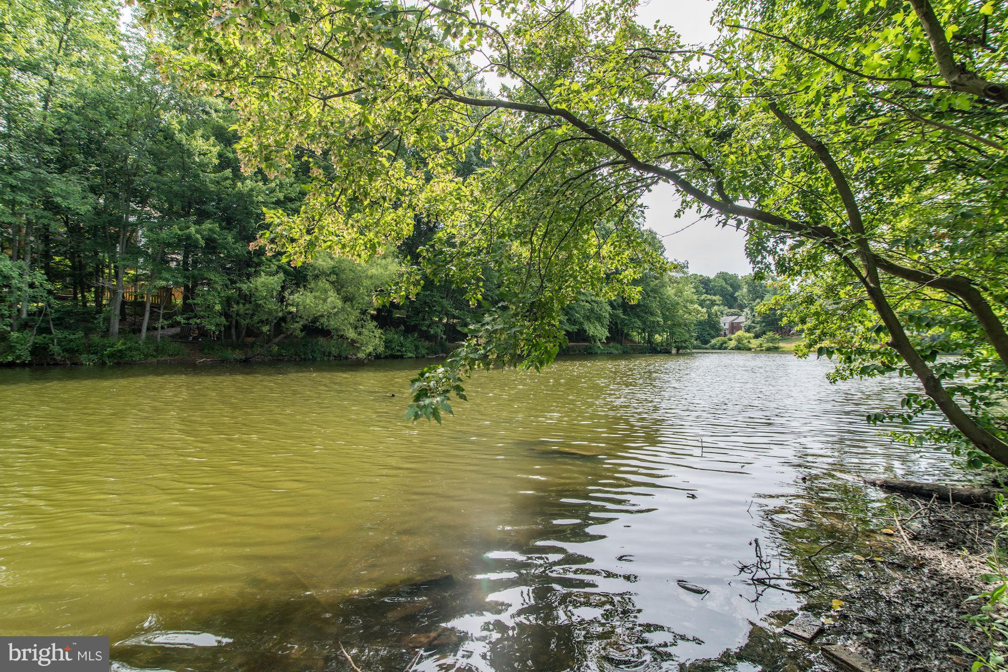 9506 Burdett Road Burke, VA 22015 - Photo 27 of 30 Canoe, kayak, fish, bird watch or just suntan!