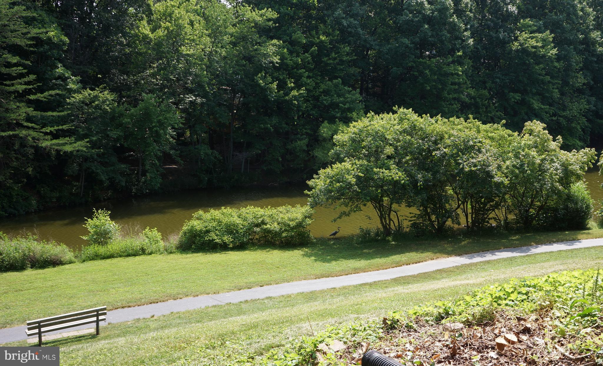 9506 Burdett Road Burke, VA 22015 - Photo 7 of 30 Can you spot the beautiful Blue Heron?!