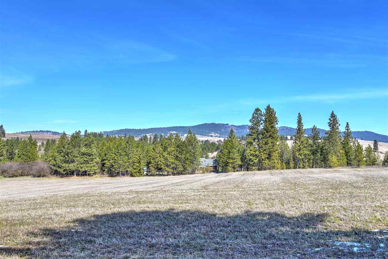 9211 East Stoughton Road Valleyford, WA 99036 - Photo 6 of 19