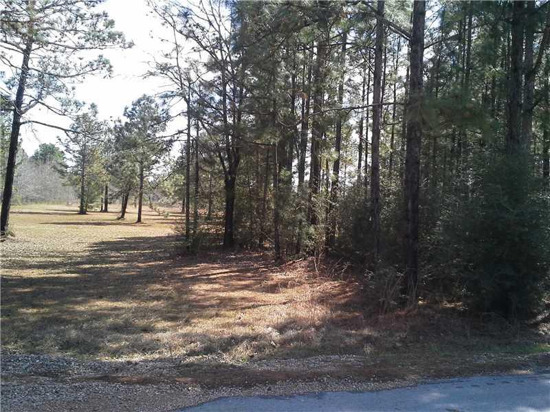 0 Snowfield Road Amite, LA 70422 - Photo 1 of 4 Gallery Image 1