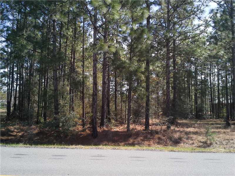 0 Snowfield Road Amite, LA 70422 - Photo 3 of 4 Gallery Image 3