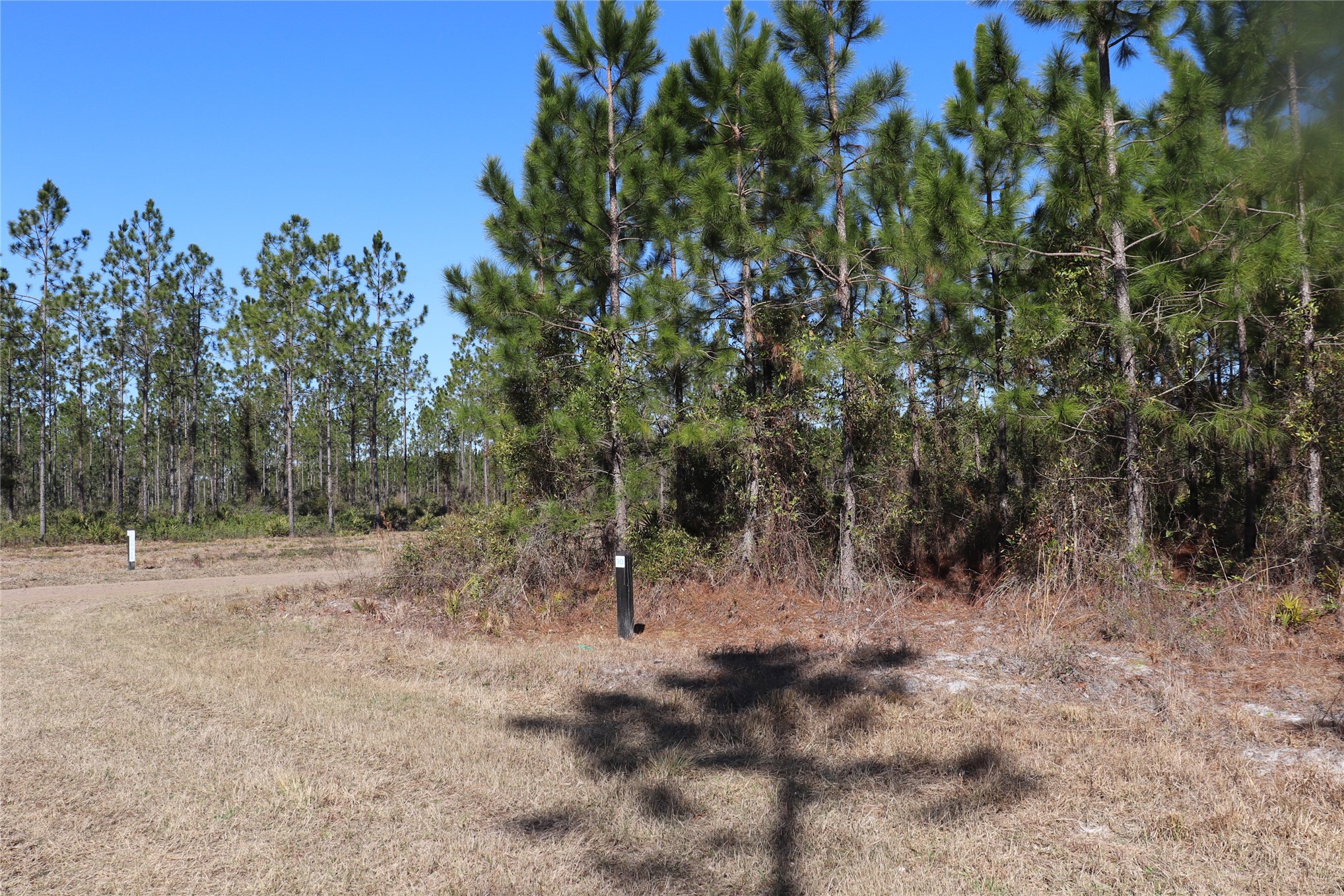 0 Georgia Street Hilliard, FL 32046 - Photo 2 of 5 a view of dirt yard with trees