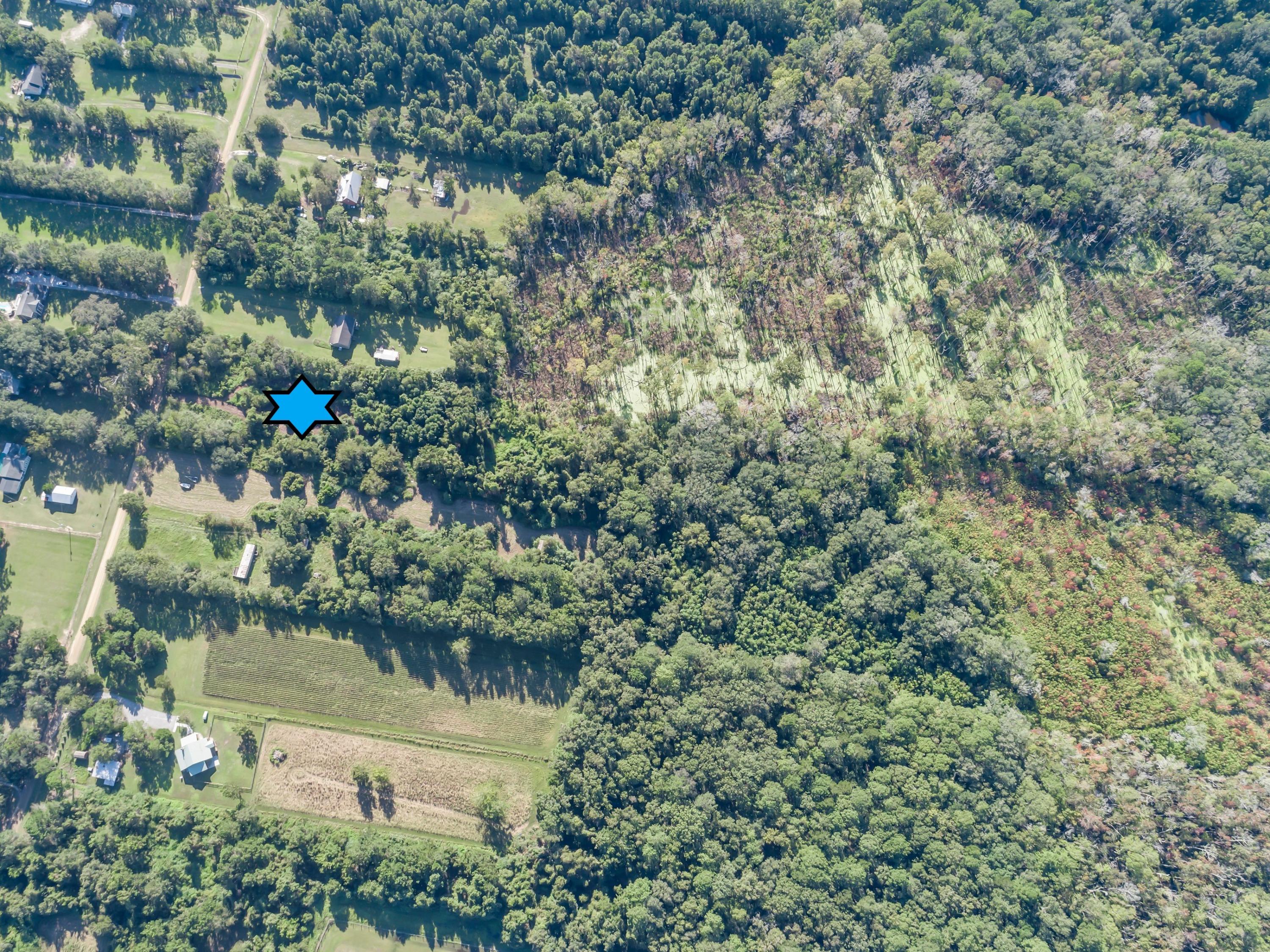 0 Bentz Road Wadmalaw Island, SC 29487 - Photo 3 of 5 Bbb-ta0s