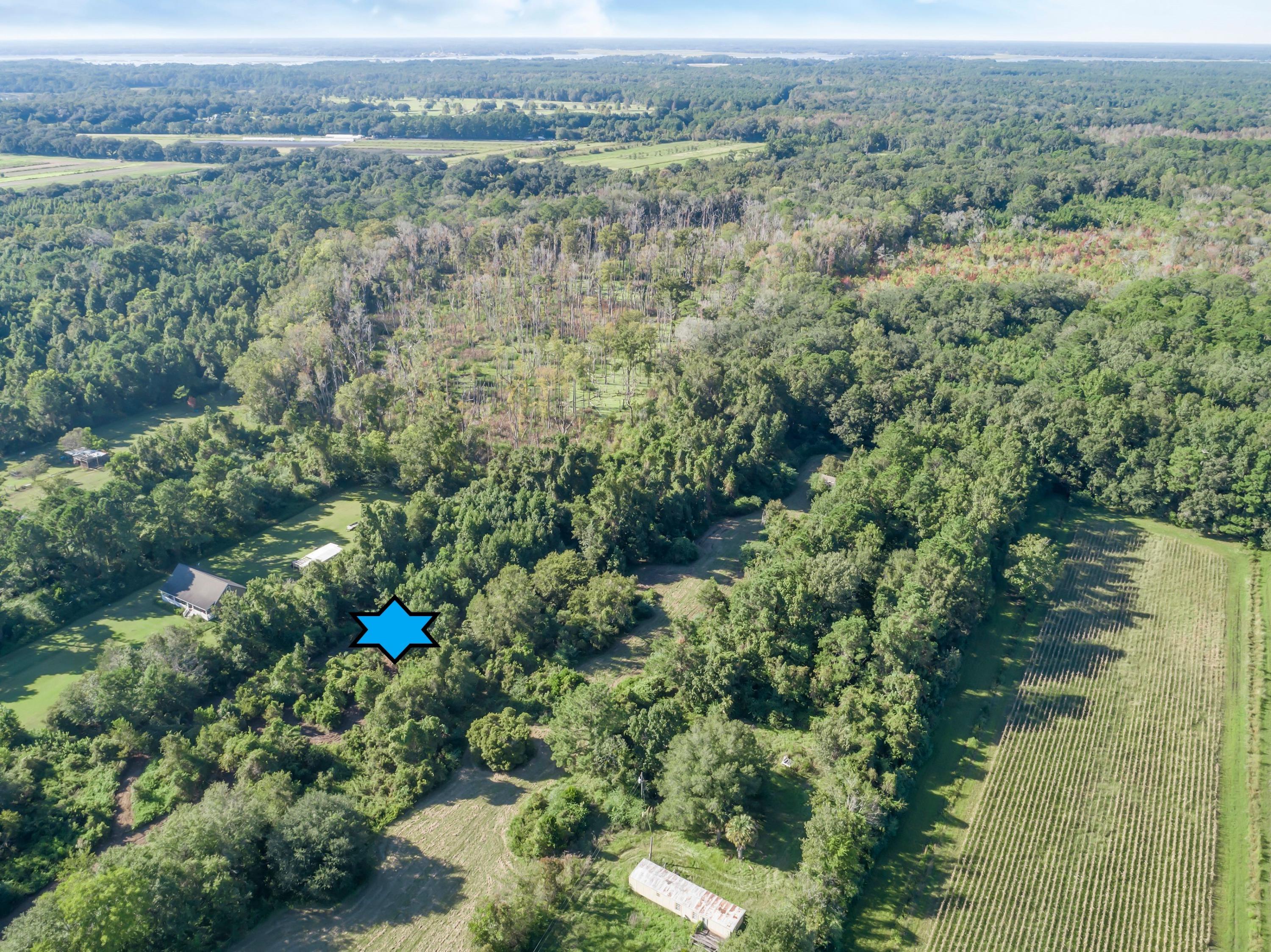 0 Bentz Road Wadmalaw Island, SC 29487 - Photo 5 of 5 Dpno_zoA