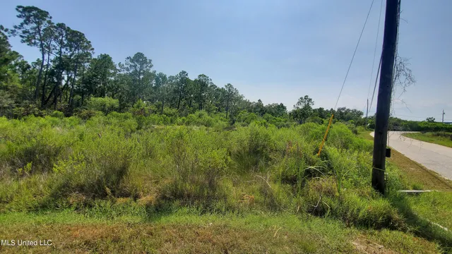 $7,000 | Rita St Pass, Pass Christian, MS 39571