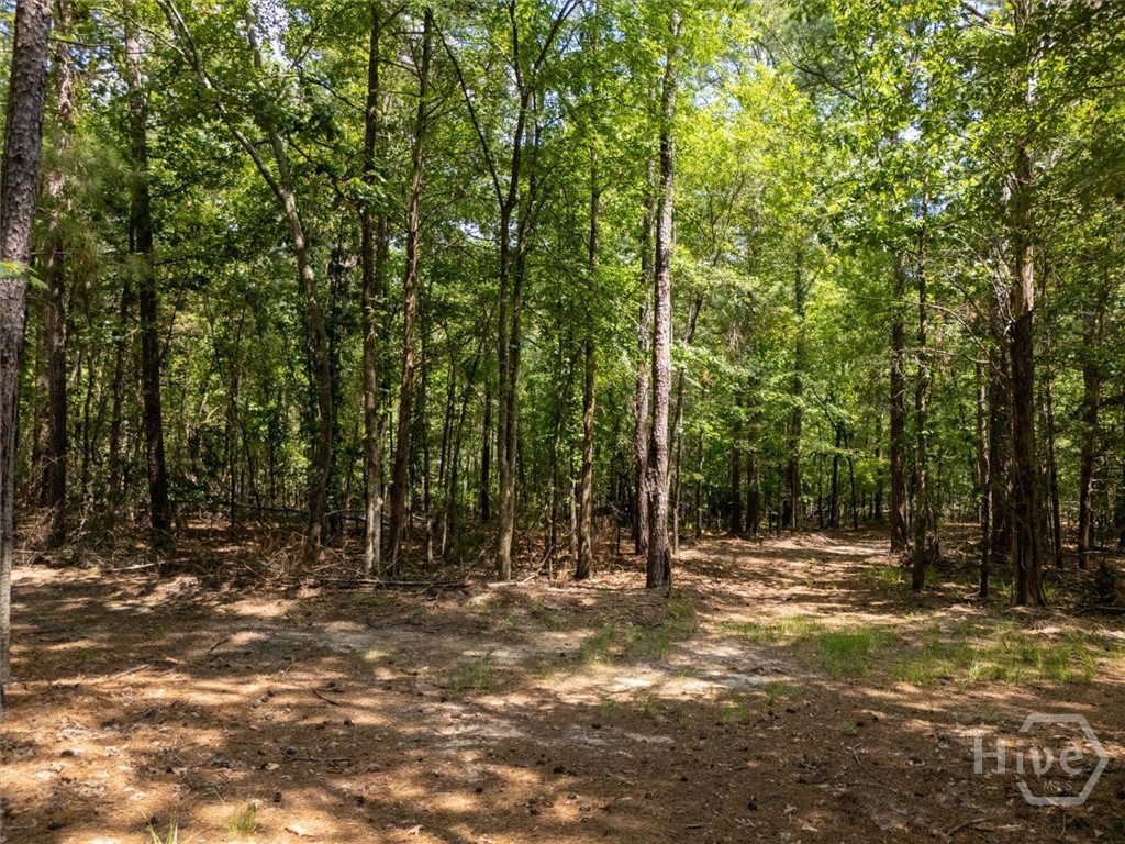 0 Winding Ridge Drive Dillard, GA 30537 - Photo 14 of 19 Gallery Image 14