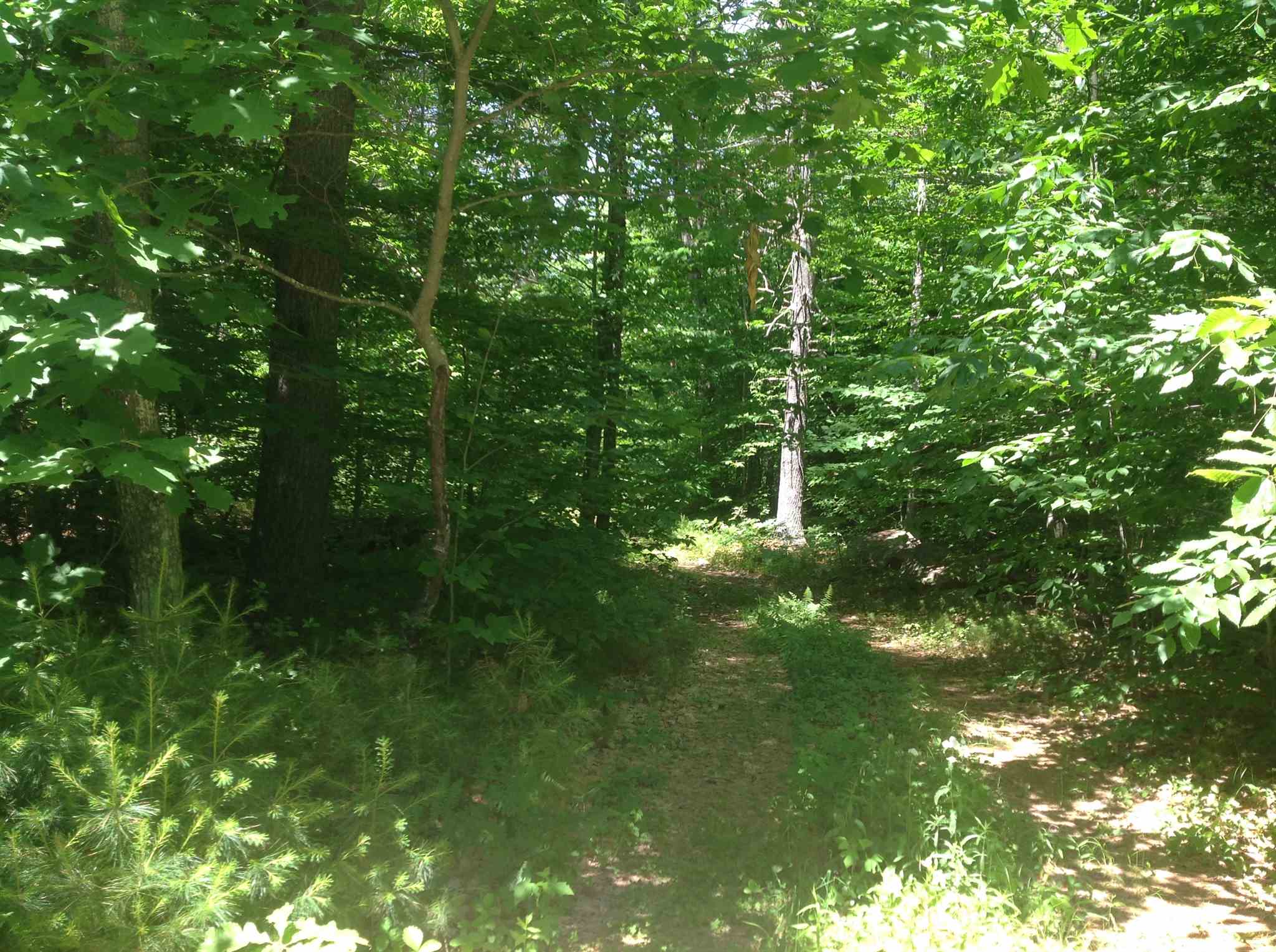 7 Gray Fox Road Effingham, NH 03882 - Photo 1 of 1