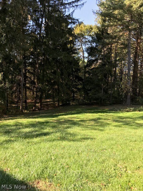 8425 Lafayette Road Lodi, OH 44254 - Photo 3 of 15 Gallery Image 3