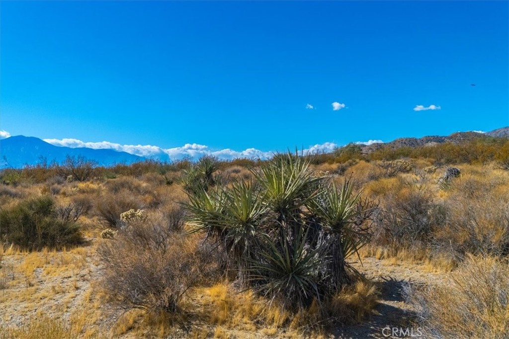9457 Fobes Road Morongo Valley, CA 92256 - Photo 14 of 34 a view of a city