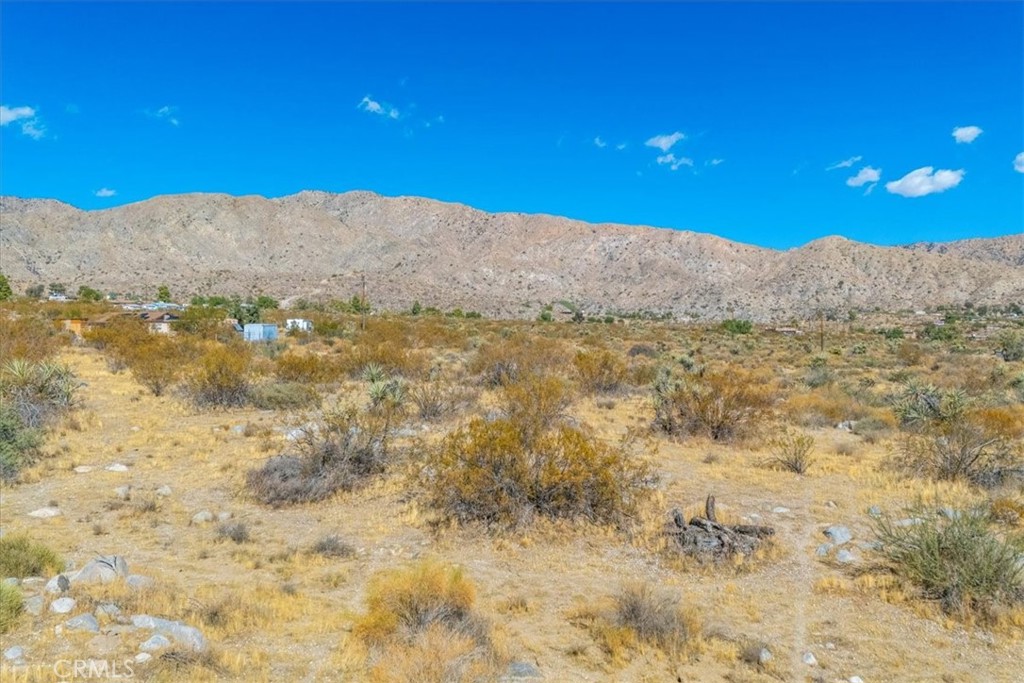9457 Fobes Road Morongo Valley, CA 92256 - Photo 19 of 34 a view of a dry yard with mountains in the background