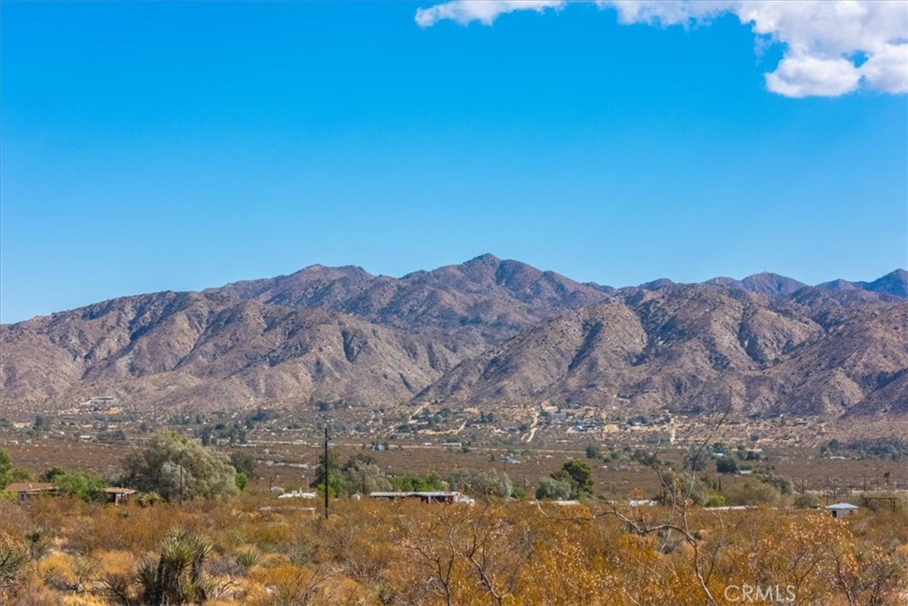 9457 Fobes Road Morongo Valley, CA 92256 - Photo 21 of 34 a view of a dry yard with mountains in the background