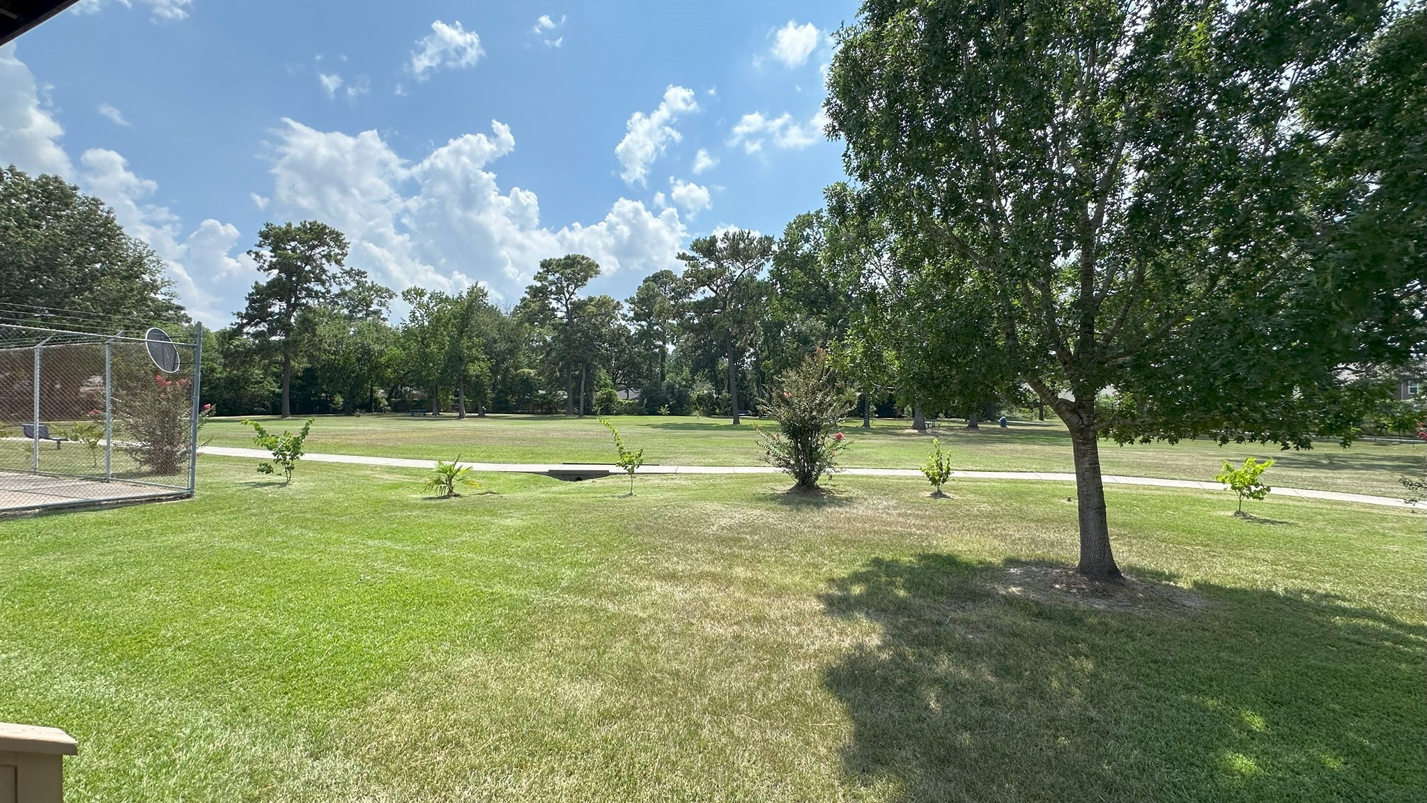 4423 Mossygate Drive Spring, TX 77373 - Photo 33 of 38 Enjoy the open space